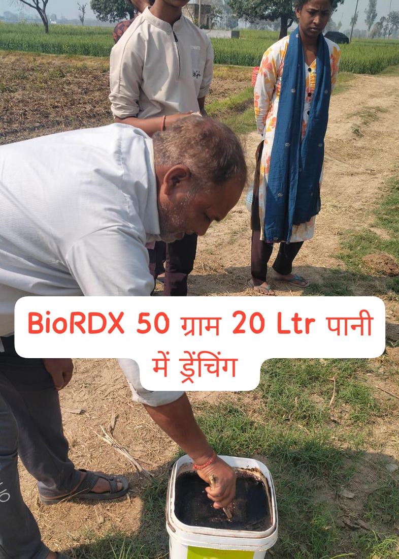 किसान द्वारा खेत में उत्पाद ड्रेंचिंग