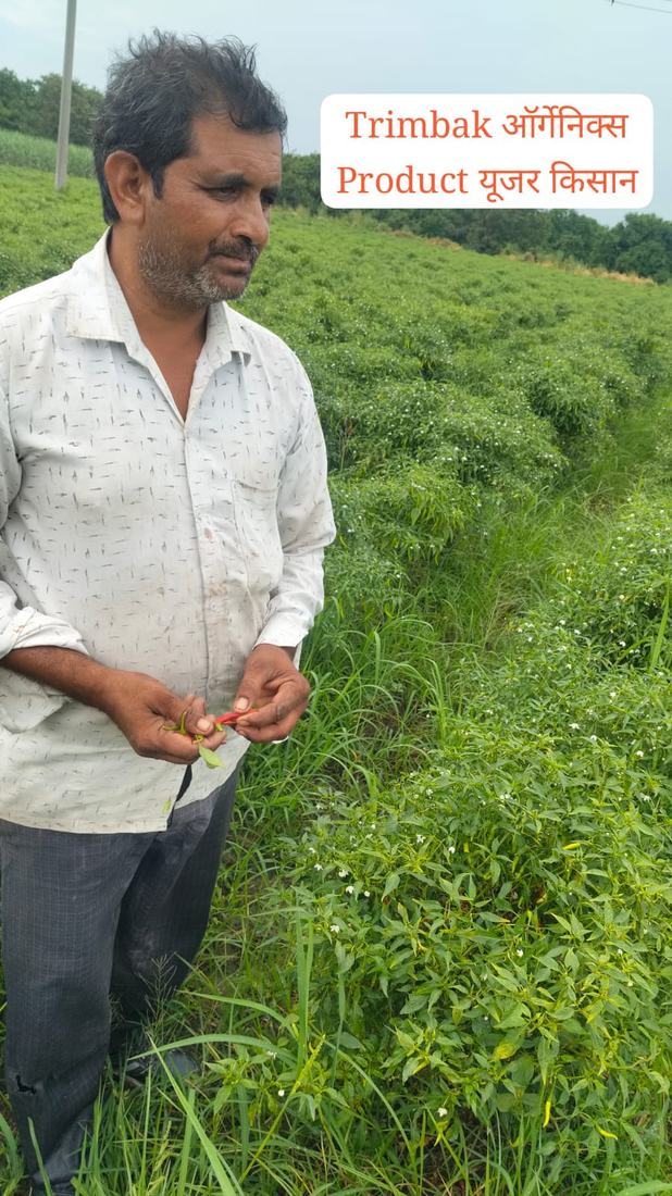 खेत में खड़े किसान — Trimbak Organics उपयोगकर्ता