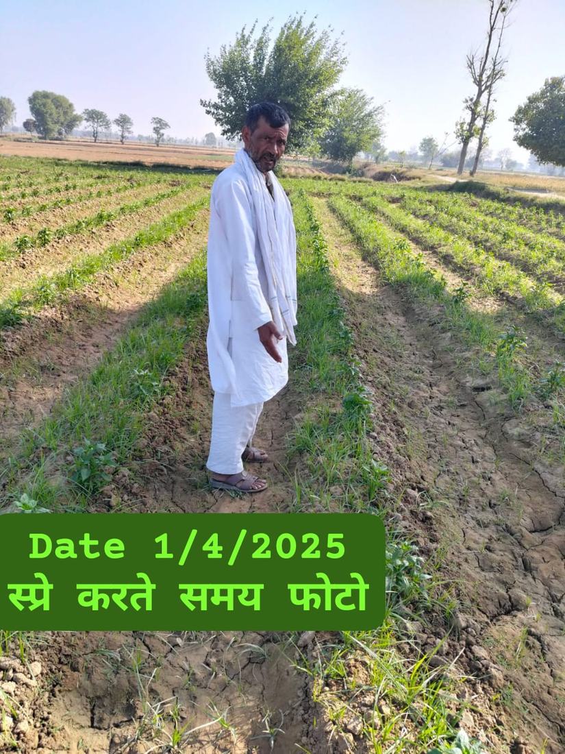 खेत में स्प्रे करते समय की तस्वीर