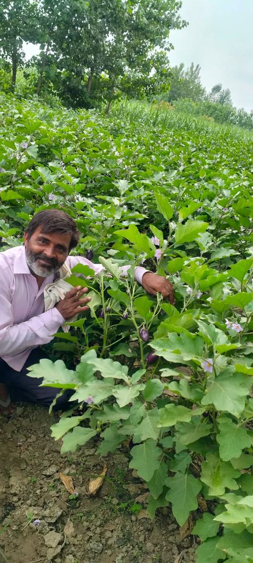 खेत में किसान का निरीक्षण