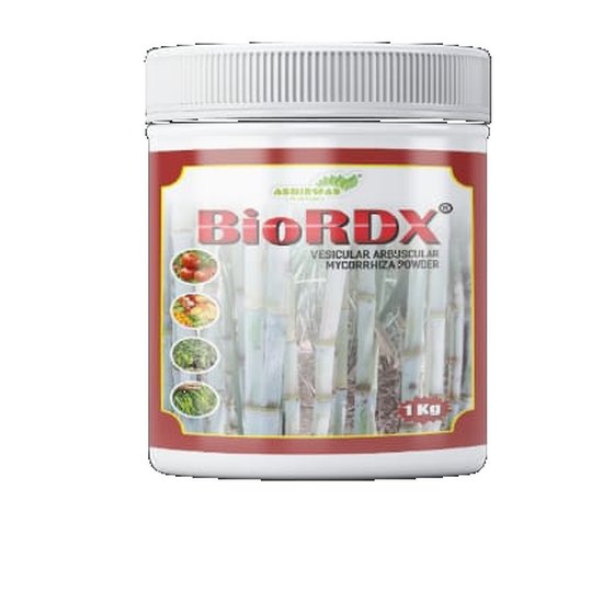 BioRDX jar